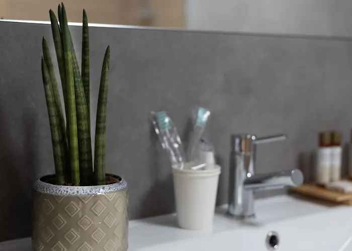 Tatil parkı Abracos Dos Avos - Casas De Aldeia